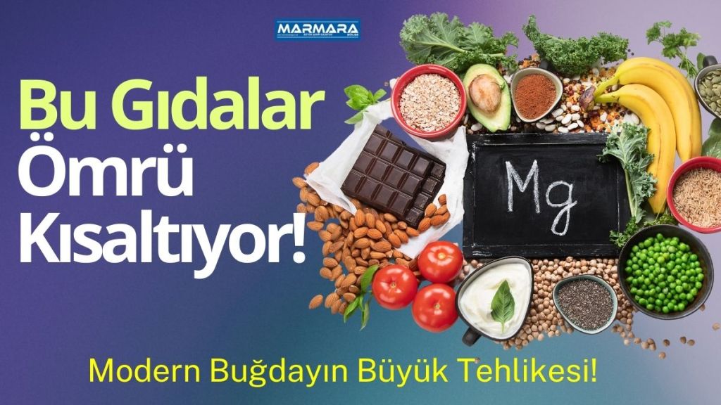 Prof. Dr. İbrahim Saraçoğlu, katıldığı bir YouTube programında buğday, mısır,