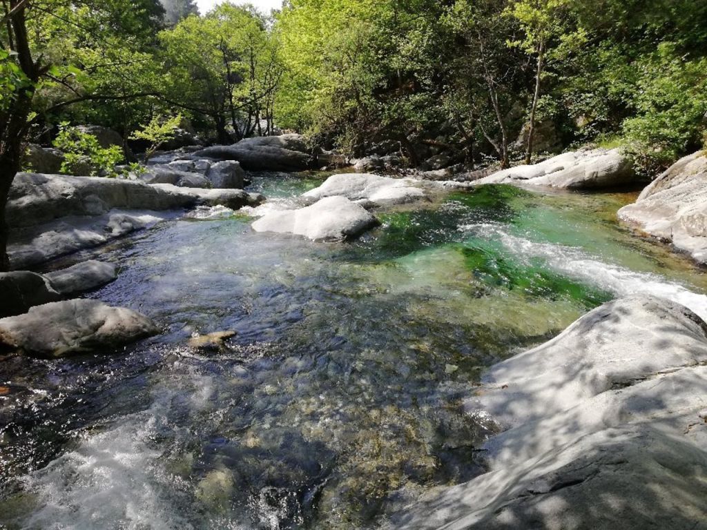 hasanboguldu selalesi 1 - Marmara Bölge Gazetesi