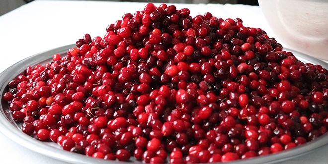 headline - Marmara Bölge Gazetesi