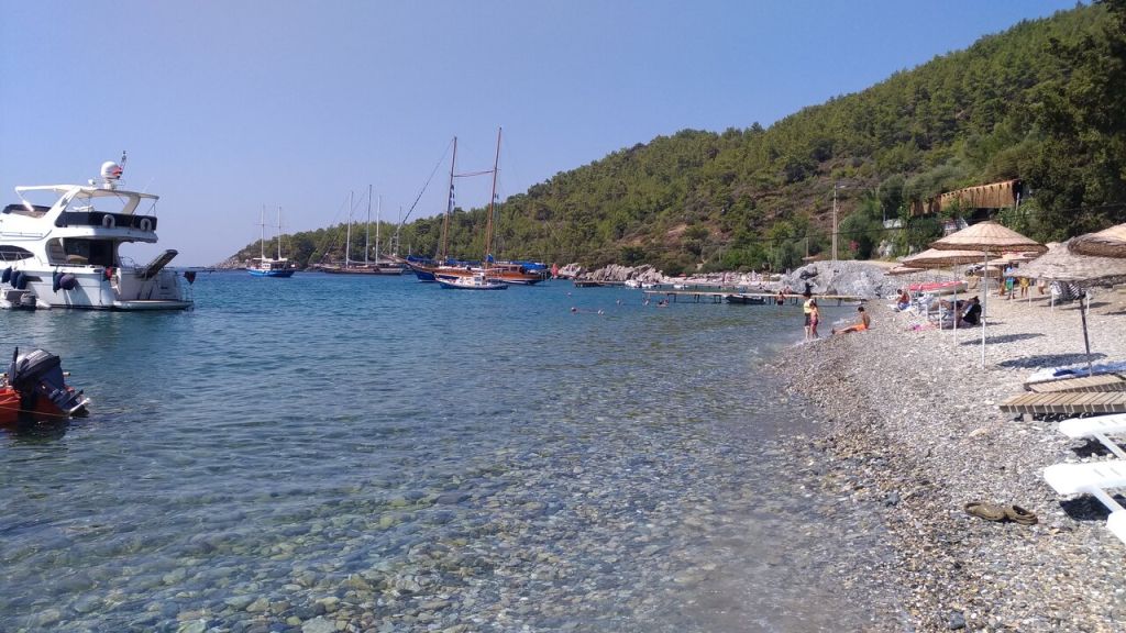 hurma - Marmara Bölge Gazetesi