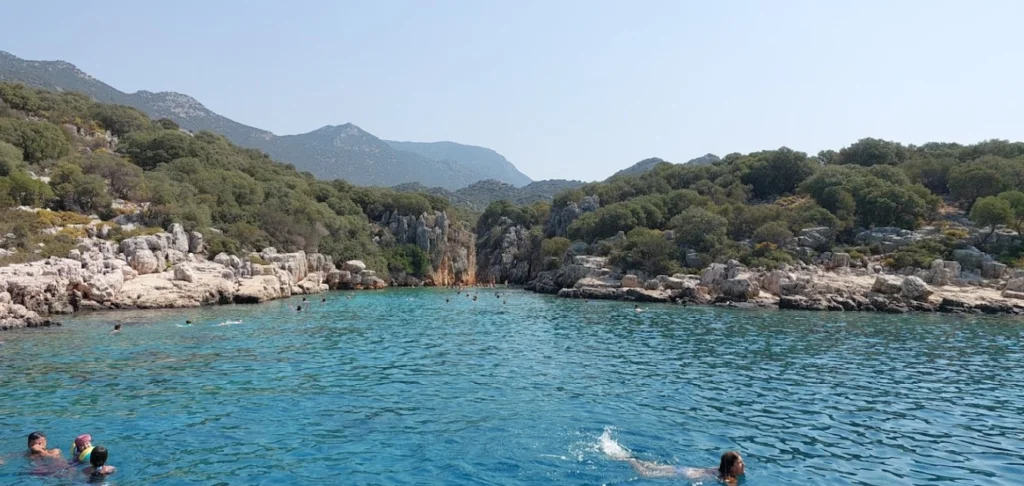 image 105 1024x486 1 - Marmara Bölge Gazetesi