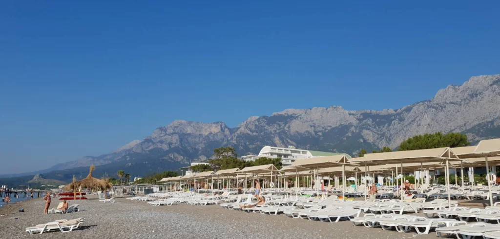 image 130 1024x491 2 - Marmara Bölge Gazetesi