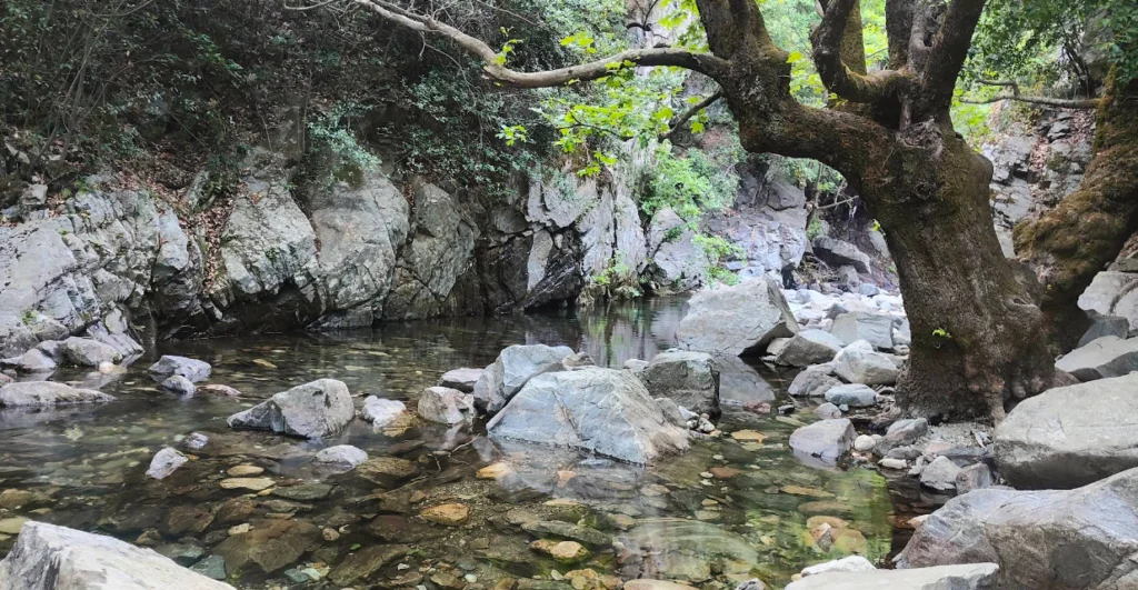 image 163 1024x531 1 - Marmara Bölge Gazetesi