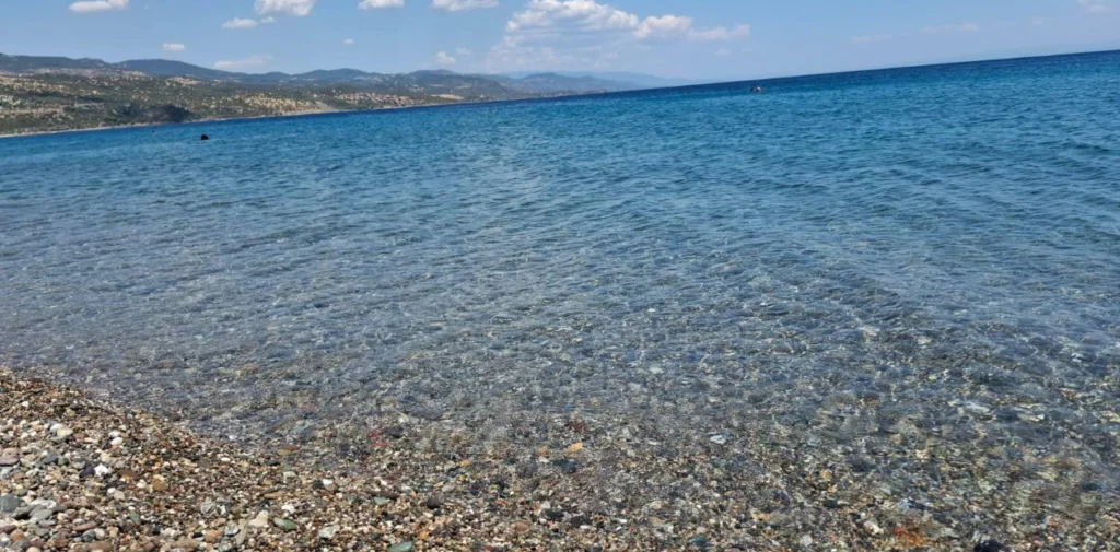 image 245 1024x505 1 - Marmara Bölge Gazetesi