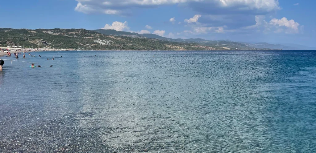 image 249 1024x497 1 - Marmara Bölge Gazetesi