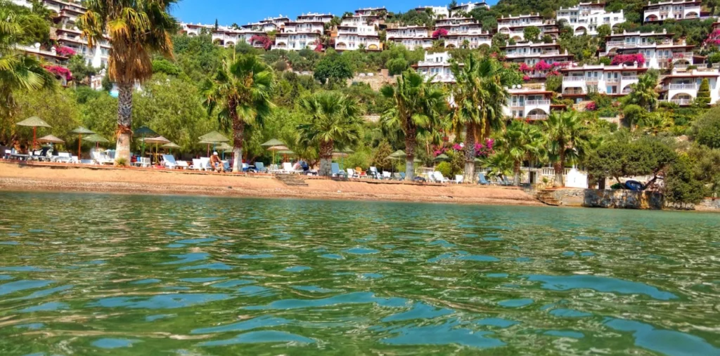 image 30 1024x507 1 - Marmara Bölge Gazetesi