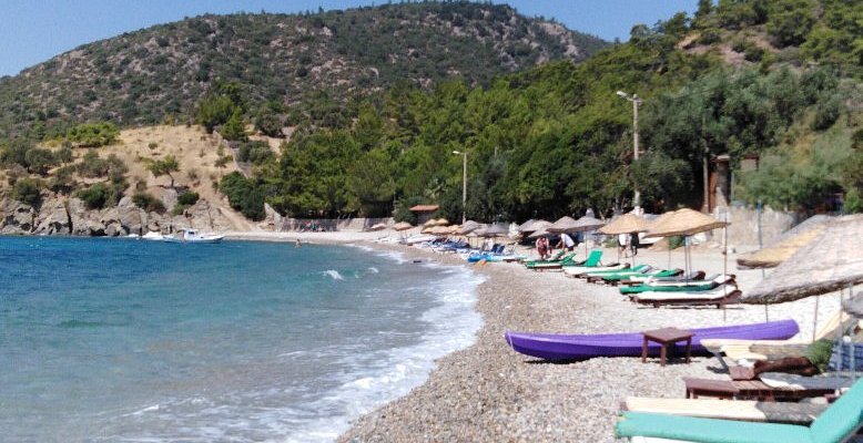 img 20190910 wa0001 largejpg - Marmara Bölge Gazetesi