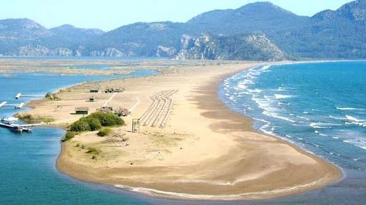 Altın sarısı kumsalı, sakin denizi ve caretta carettalarıyla İztuzu Plajı,