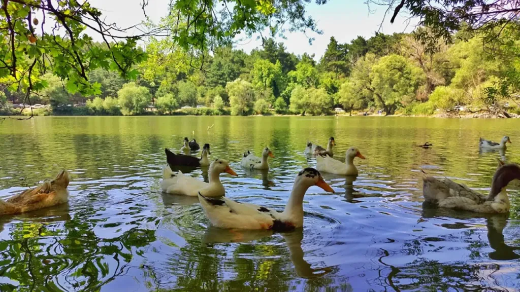 Şehirden kısa sürede uzaklaşıp doğayla baş başa kalmak isteyenlerin tercihi