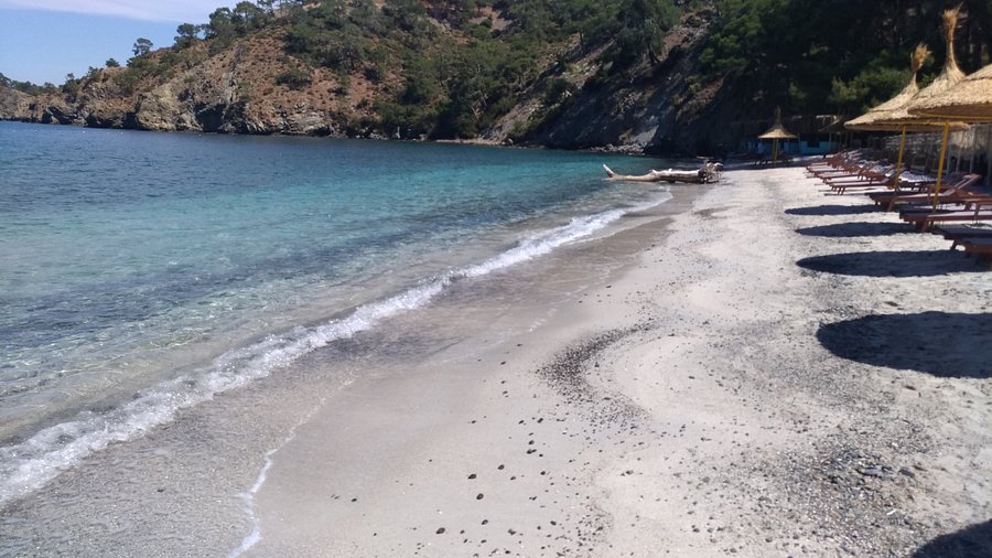 Doğayla Buluşmanın Adı: Boncuklu Koyu kb - Marmara Bölge Gazetesi