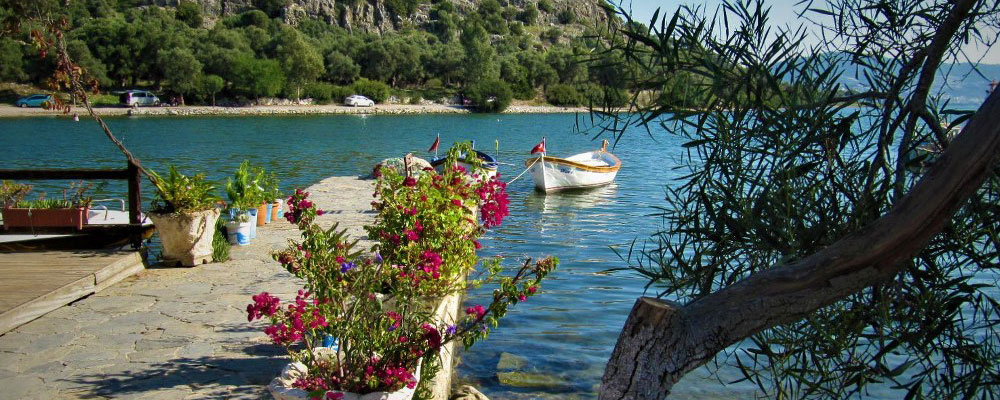 kiyikislacik cilginrotalar - Marmara Bölge Gazetesi