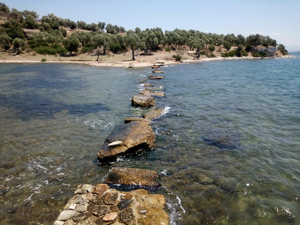 koy 2 - Marmara Bölge Gazetesi