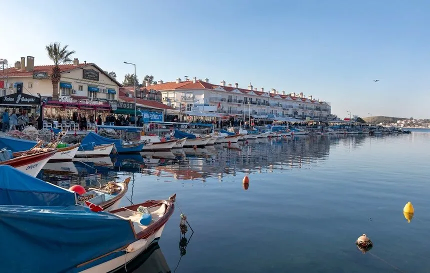 kucukdeniz foca 1 - Marmara Bölge Gazetesi