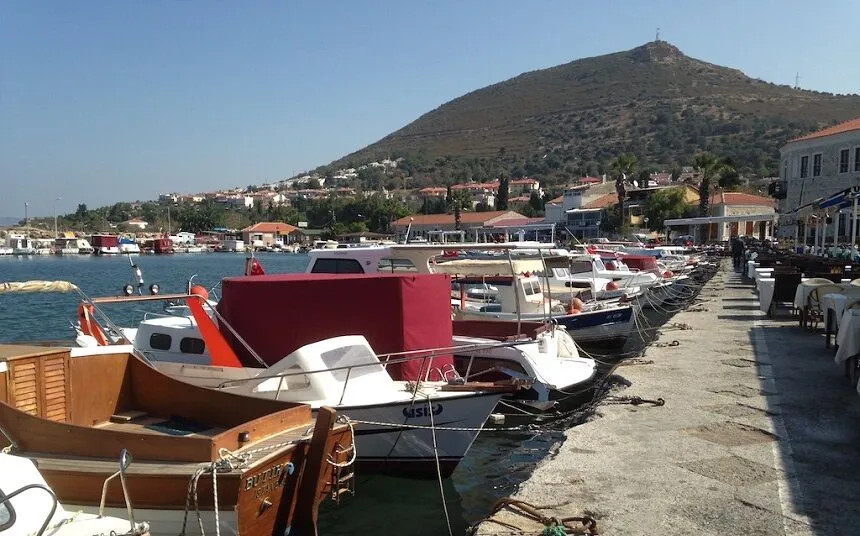 kucukdeniz foca 2 - Marmara Bölge Gazetesi