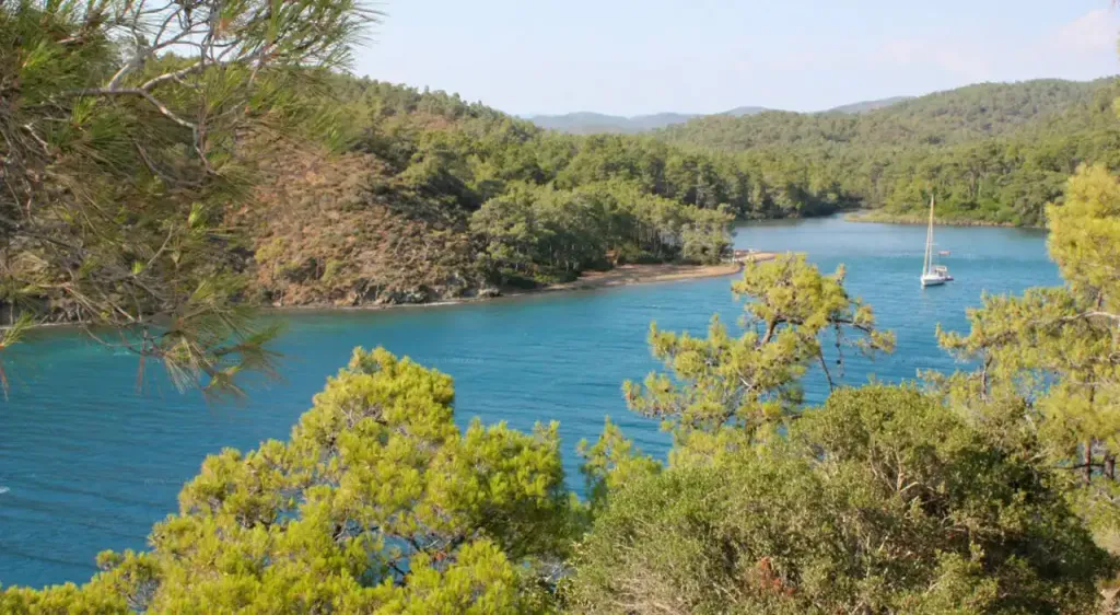 maden koyu - Marmara Bölge Gazetesi