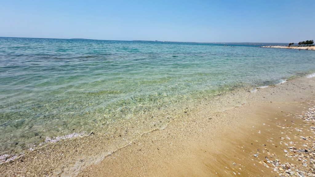 milas koylari 1024x576 1 - Marmara Bölge Gazetesi