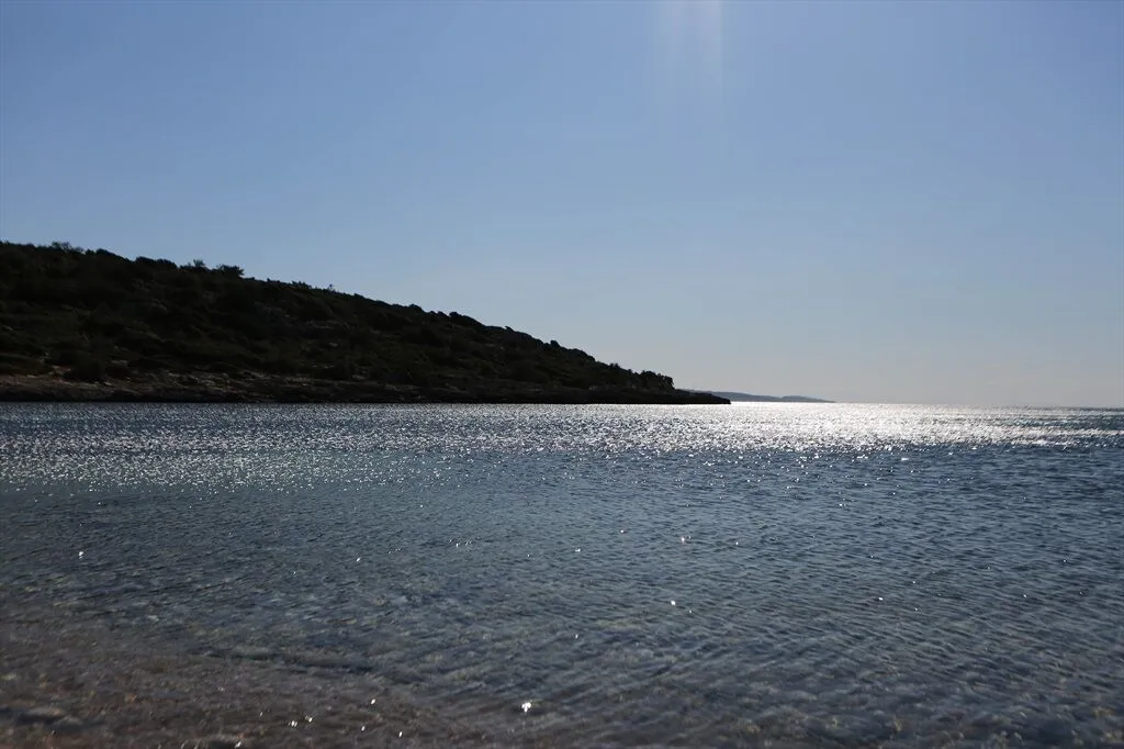 onen koyu 2 - Marmara Bölge Gazetesi