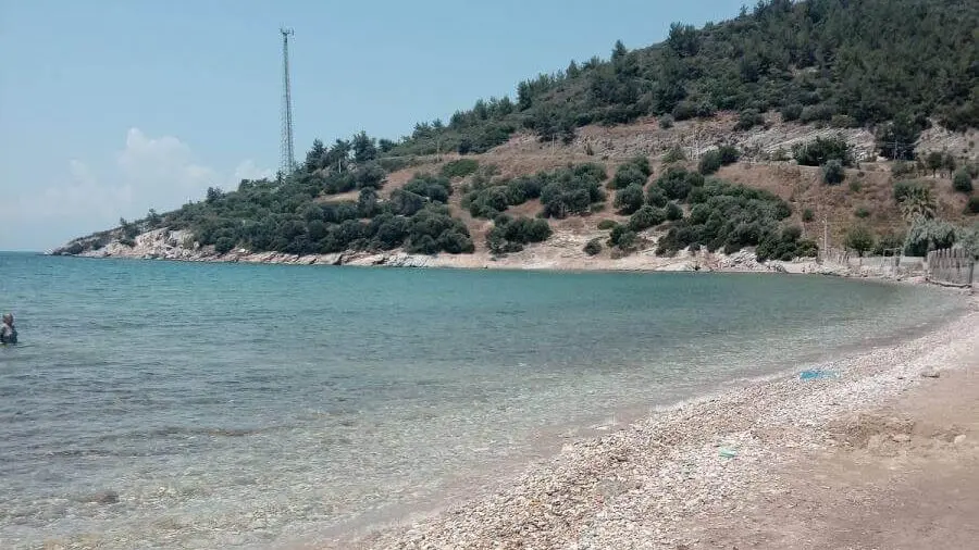 ozdere maydonoz koyu - Marmara Bölge Gazetesi