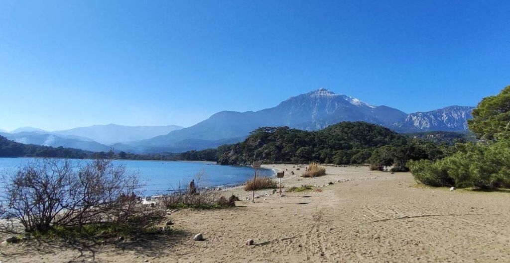 phalis guney liman 6868383449e89 - Marmara Bölge Gazetesi