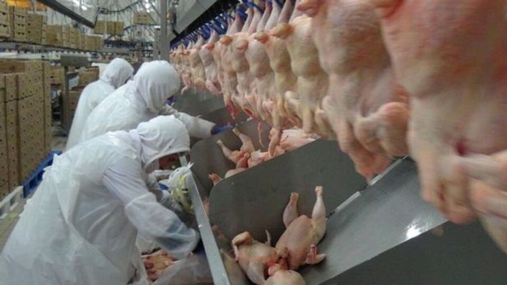 s 2423088a5d39007be02c9a0f92b5d637713e6c42 - Marmara Bölge Gazetesi