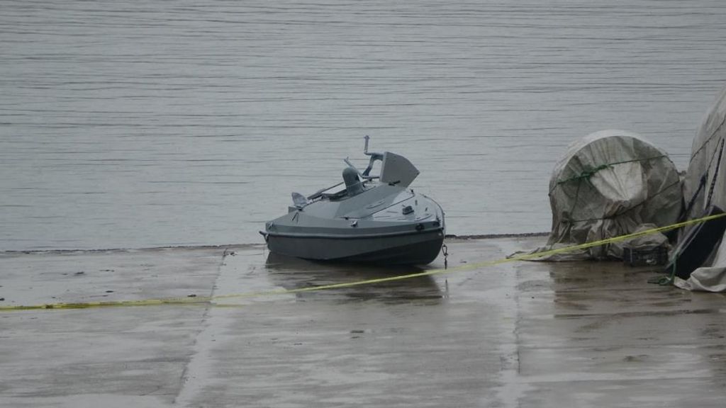 Trabzon’un Çarşıbaşı ilçesi açıklarında balıkçılar tarafından fark edilip kıyıya getirilen