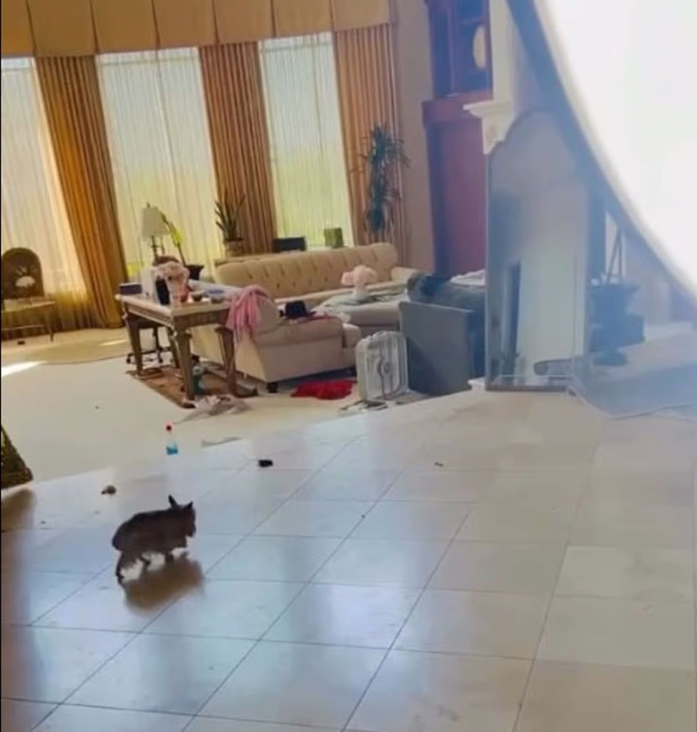 Britney Spears Yine Dibe Mi Vuruyor? s 4cc1f0f60d597c22aa14f55b894545dbfb7934a4 - Marmara Bölge Gazetesi