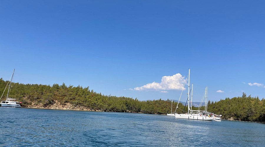 saranda koyu 2 1 - Marmara Bölge Gazetesi