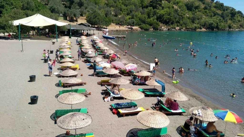 Berrak Deniz ve Yemyeşil Doğa Bir Arada sarsala plaji 1024x579 1 - Marmara Bölge Gazetesi