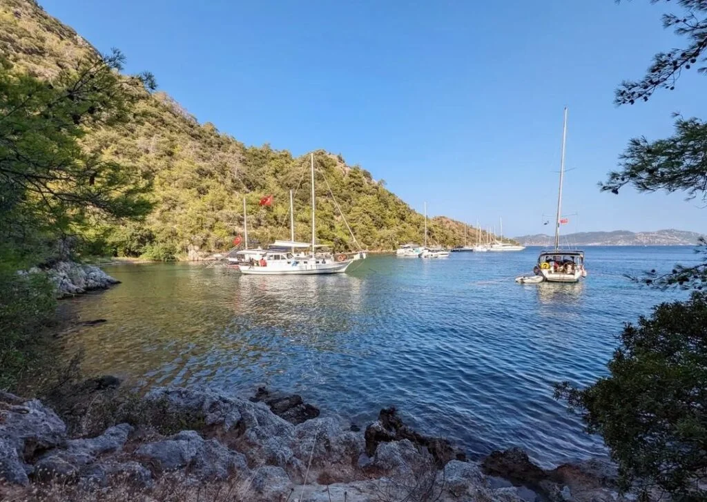 siralibuk koyu 2 1024x727 1 - Marmara Bölge Gazetesi