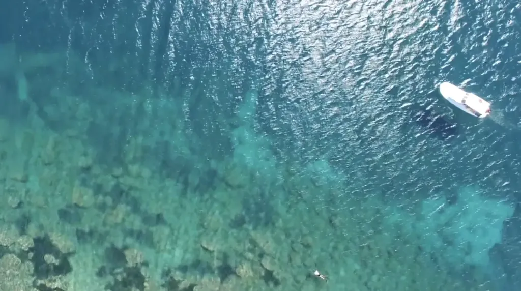 tilki koyu 2 3 - Marmara Bölge Gazetesi