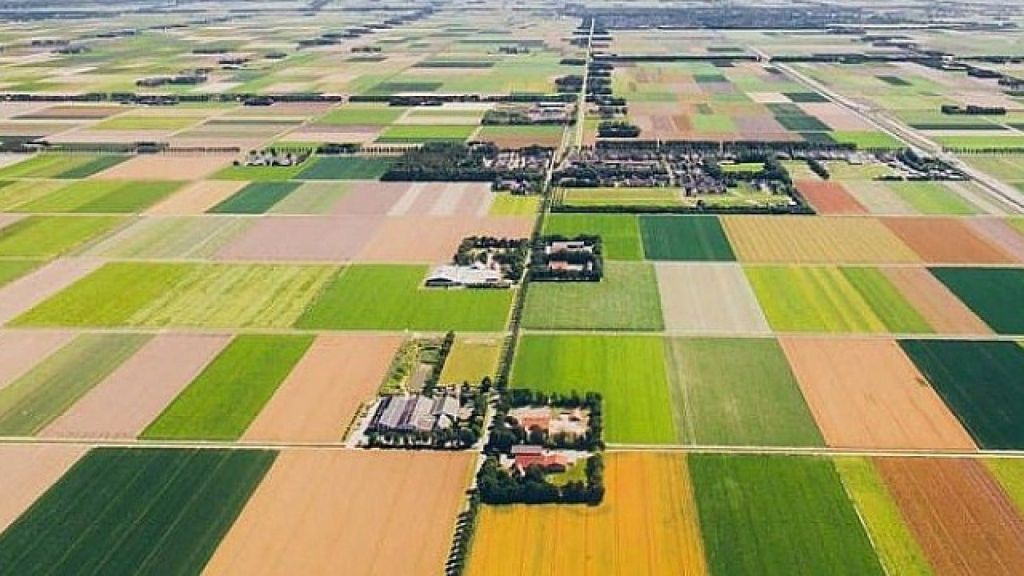 turk patronlara ucretsiz arazi verilecek hicbir sart yok b84477 - Marmara Bölge Gazetesi