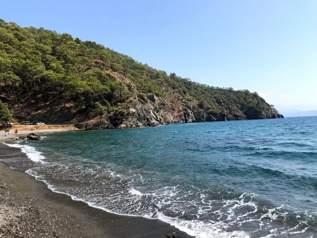 Şehir Gürültüsünden Uzak, Çam Ormanlarıyla Sarılı Bir Kıyı - Marmara Bölge Gazetesi