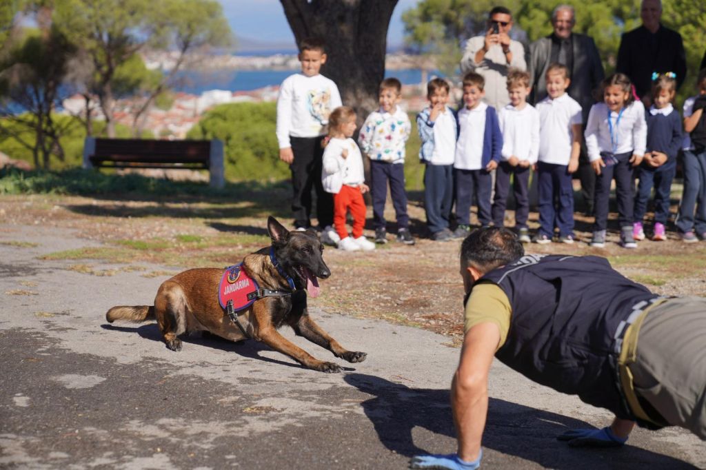 Ayvalık’ta Minikler Barınaktaki Hayvanlarla Buluştu! 04 - Marmara Bölge Gazetesi