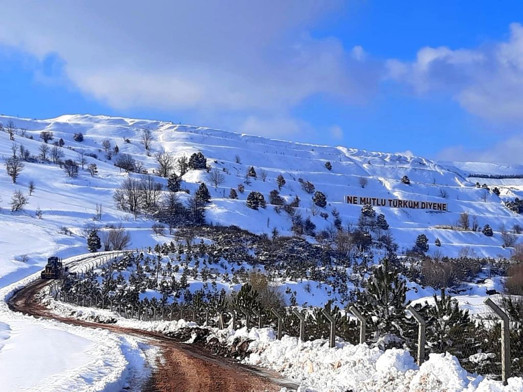 16802644686426cd149ac8f - Marmara Bölge Gazetesi