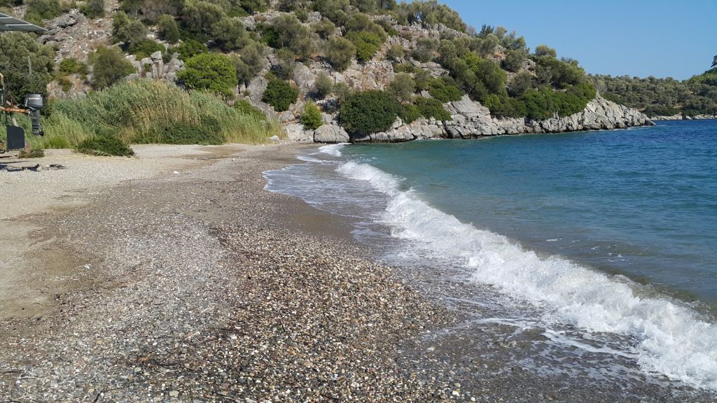 2017 08 14 - Marmara Bölge Gazetesi