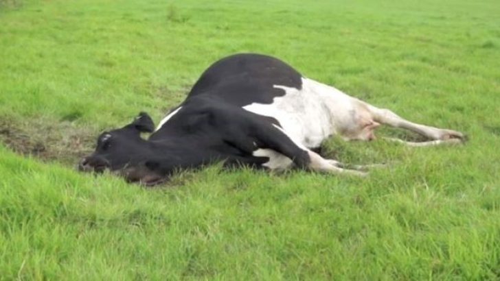 2923426370 - Marmara Bölge Gazetesi