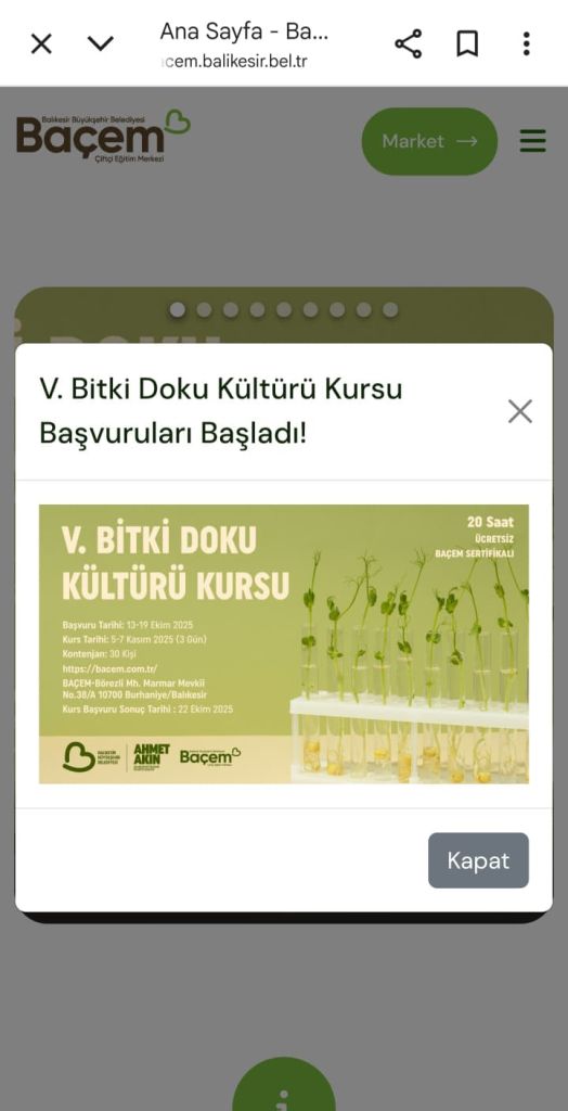 Balıkesir Büyükşehir Belediyesi çevrimiçi platformlarını yeniliyor 352844997Balikesir Buyuksehir Belediyesi cevrimici platformlarini yen - Marmara Bölge Gazetesi