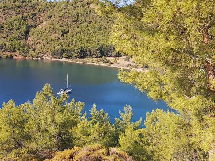 Saklı Bir Cennet: Sessizliğin Kalbinde Bir Koy - Marmara Bölge Gazetesi