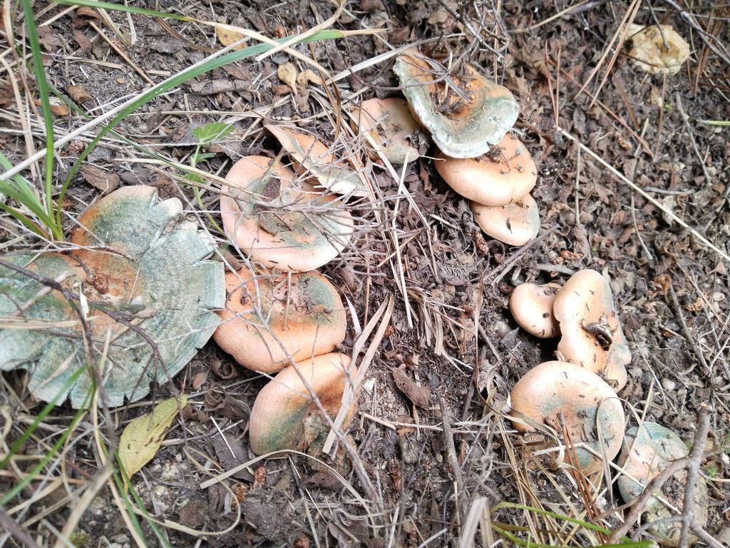 465852374 10162983764919879 4988590732852034593 n - Marmara Bölge Gazetesi