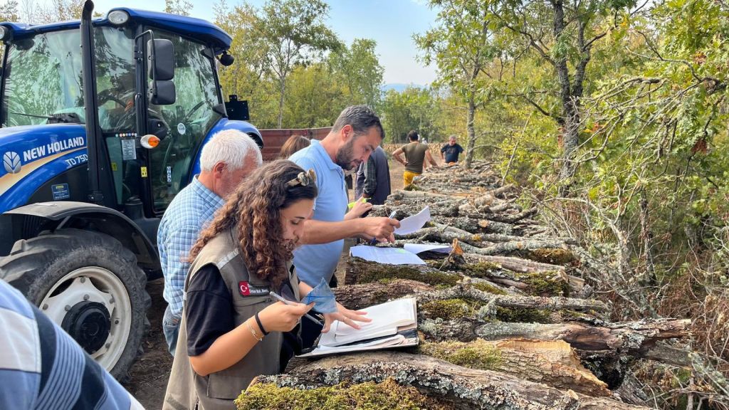 556140743 1258199956348340 2685377880190572656 n - Marmara Bölge Gazetesi