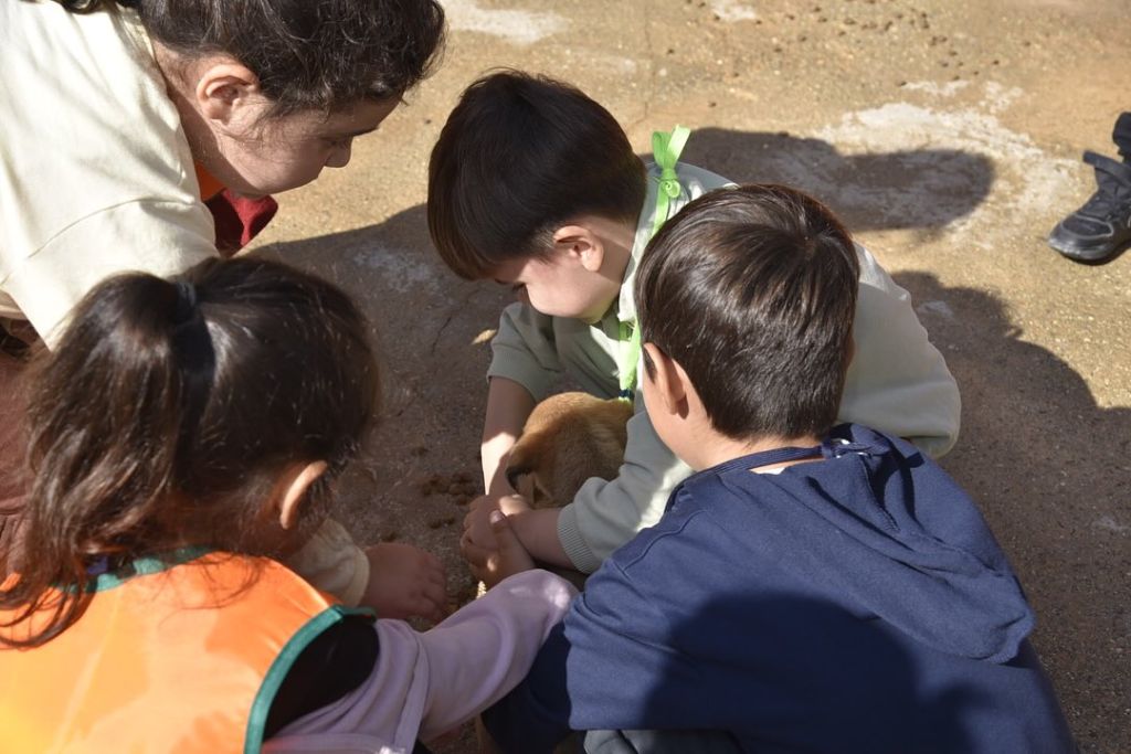 Dursunbey’de Minik Kalpler Hayvanlarla Buluştu! 557648762 18489370858079512 6737431794674406166 n - Marmara Bölge Gazetesi