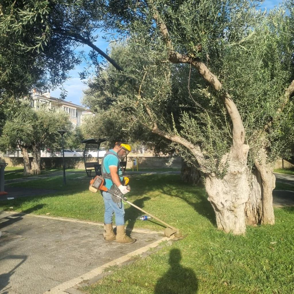 Edremit Baştan Aşağı Yenileniyor! 557700463 810790587978635 5403264797061875589 n - Marmara Bölge Gazetesi