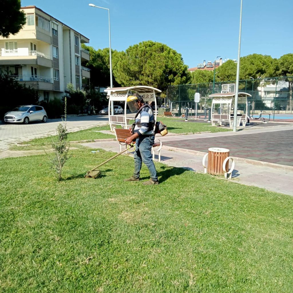 Edremit Baştan Aşağı Yenileniyor! 557726571 810790557978638 8902556898279625645 n - Marmara Bölge Gazetesi