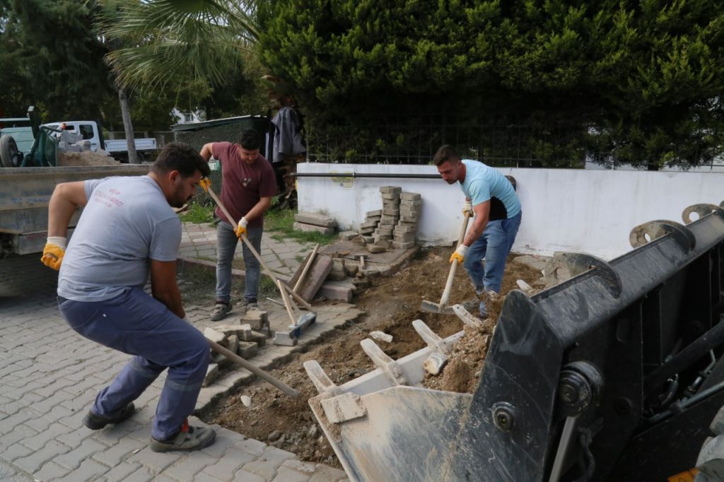 Edremit'te Yeni Bir Rekor Kırıldı! 558092991 828009546256739 4061270119252657730 n - Marmara Bölge Gazetesi