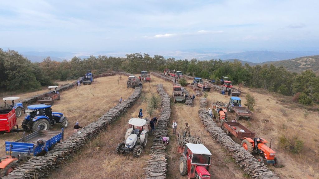 Balıkesir Orman Bölge Müdürlüğü, orman köylülerine yönelik sosyal ve ekonomik