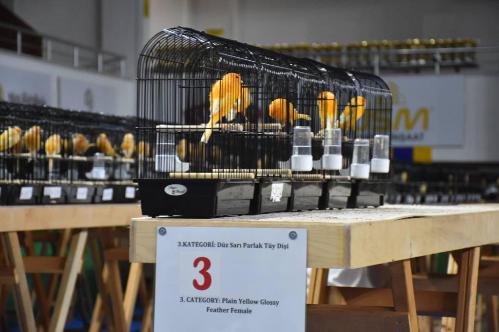 558674930 824849299906097 8335640537293791913 n - Marmara Bölge Gazetesi