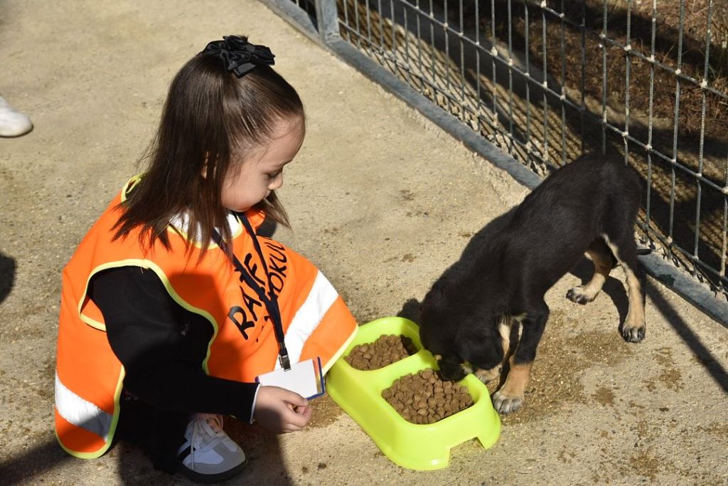 Dursunbey’de Minik Kalpler Hayvanlarla Buluştu! 558765518 18489370786079512 7991124924235732163 n - Marmara Bölge Gazetesi