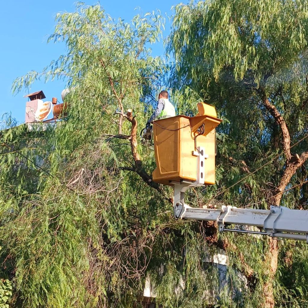 Edremit Baştan Aşağı Yenileniyor! 559802711 810790647978629 3932455250759383362 n - Marmara Bölge Gazetesi