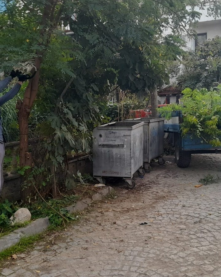 Edremit’te Bir Mucize Gerçekleşti! 560640804 821206716937022 7614737413890573901 n - Marmara Bölge Gazetesi