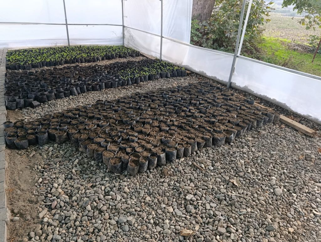 562356883 1135532392113090 2251736869667134362 n - Marmara Bölge Gazetesi